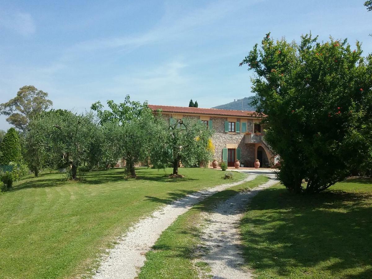 Locazione Turistica La Ginestra Apartamento Monsummano Terme Exterior foto